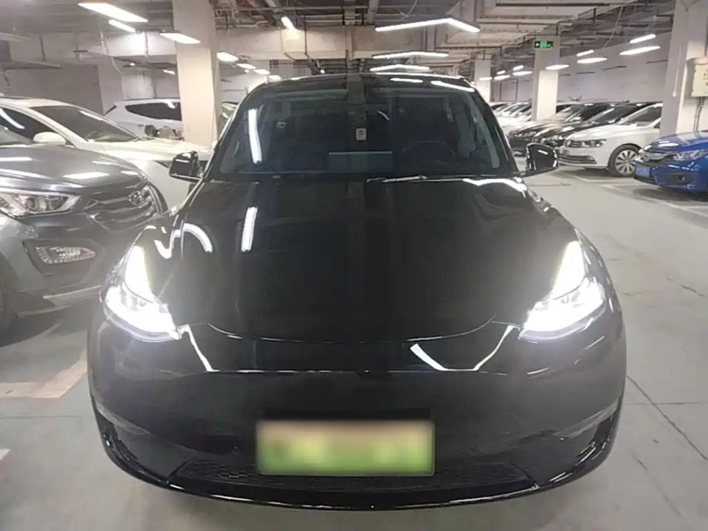 Tesla Model Y — фото 3