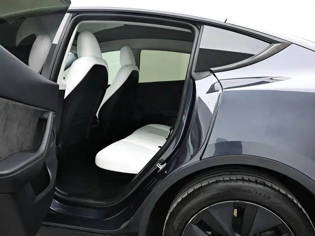 Tesla Model Y — фото 14