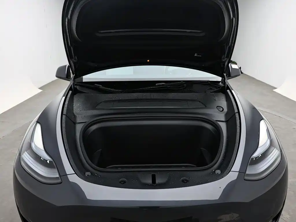 Tesla Model Y — фото 17