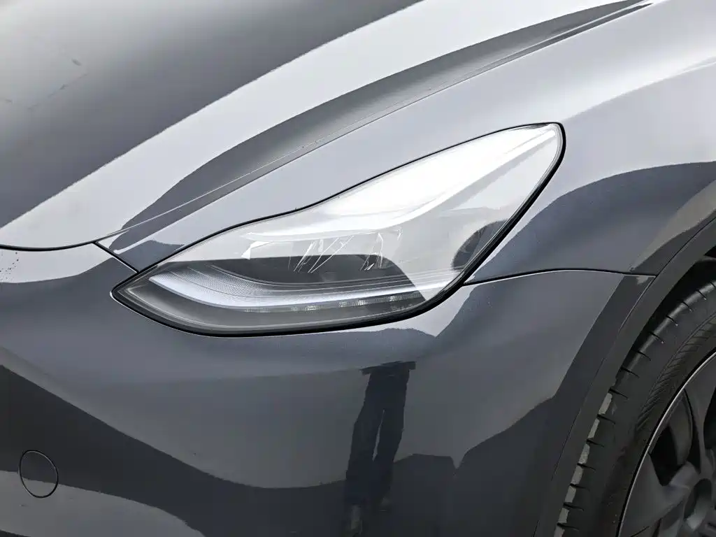 Tesla Model Y — фото 18