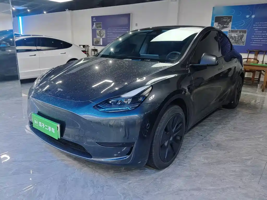 Tesla Model Y — фото 2