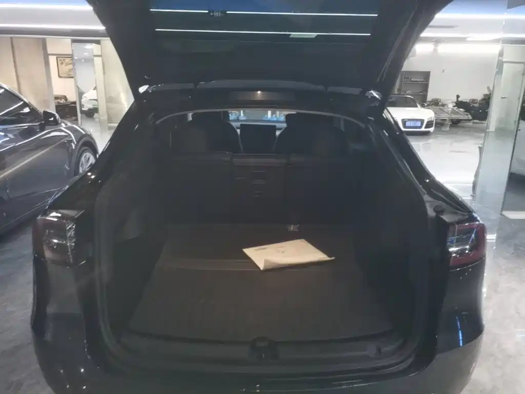 Tesla Model Y — фото 19