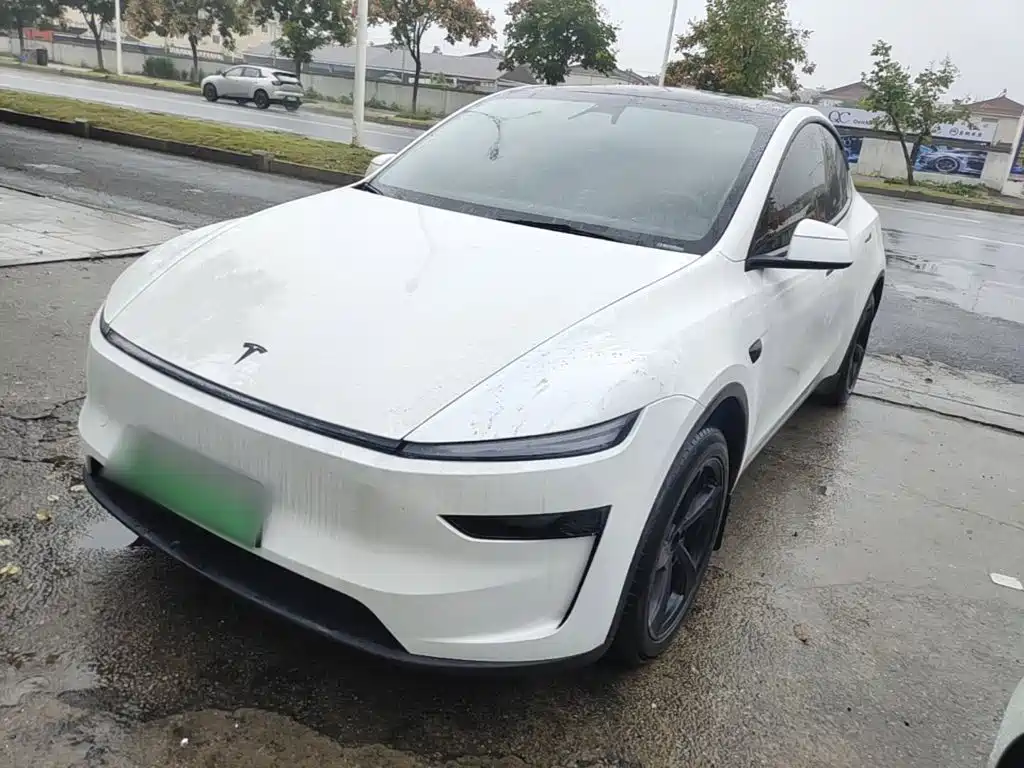 Tesla Model Y — фото 2