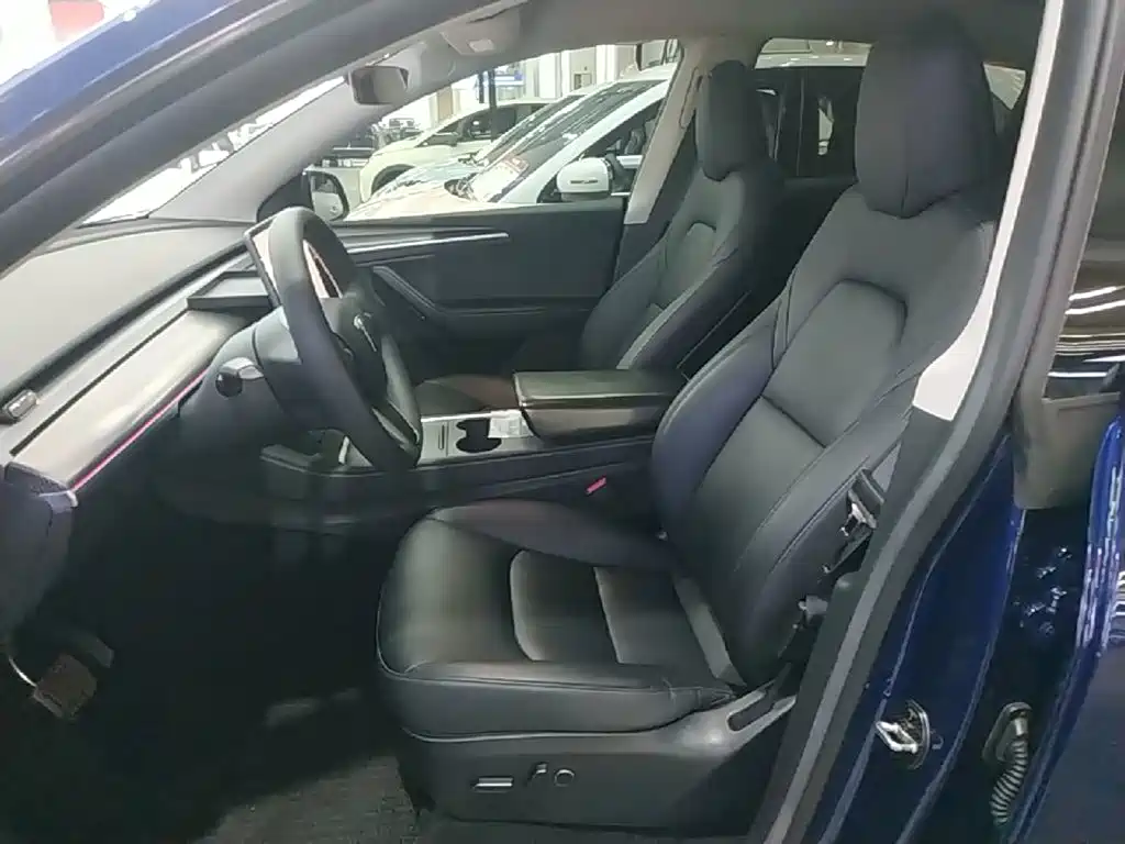 Tesla Model Y — фото 15