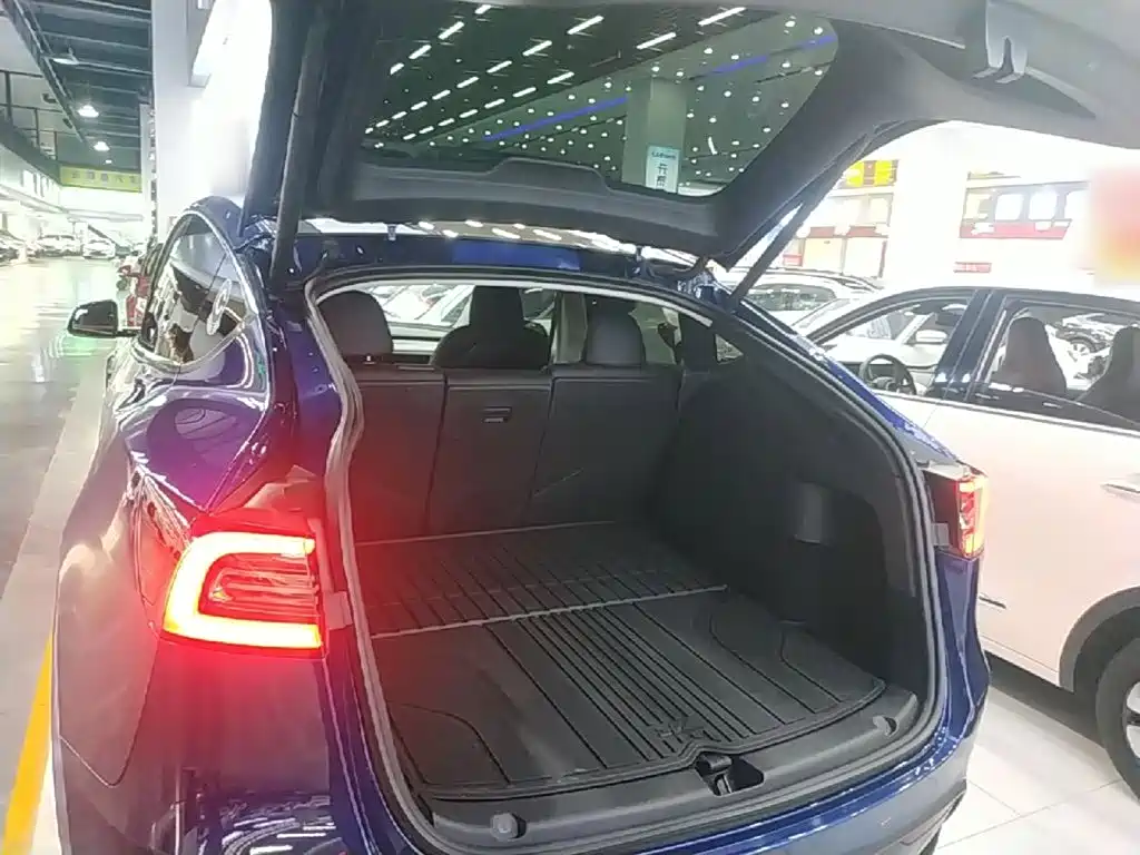 Tesla Model Y — фото 19