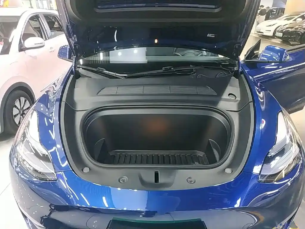 Tesla Model Y — фото 20