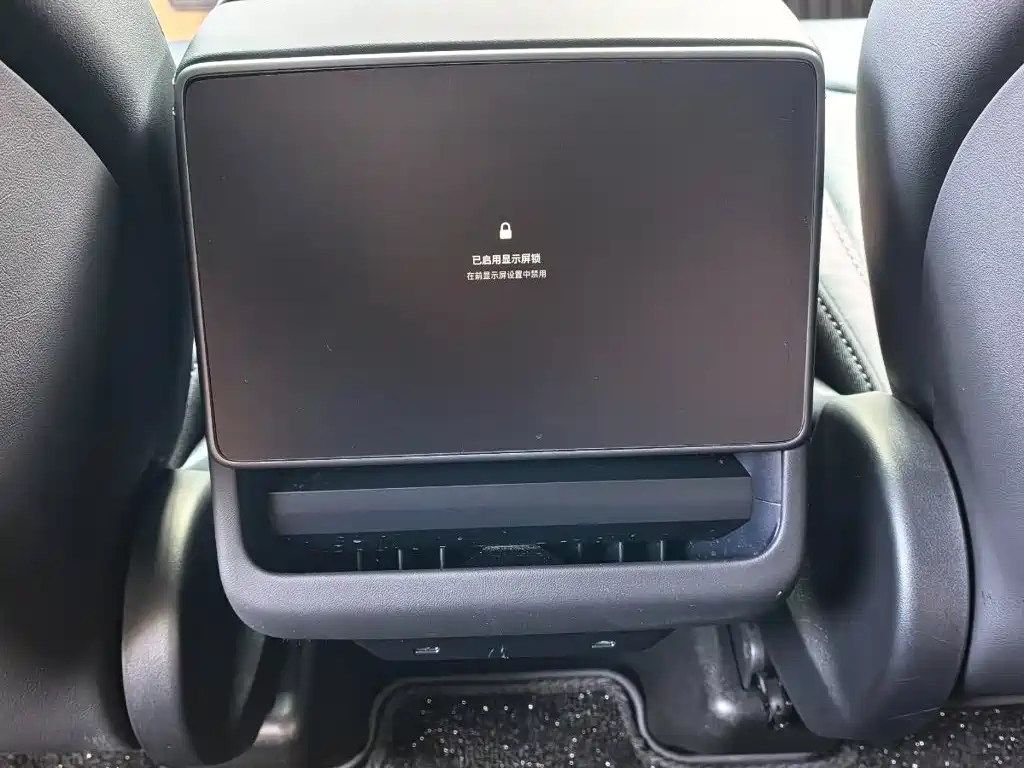 Tesla Model Y — фото 11