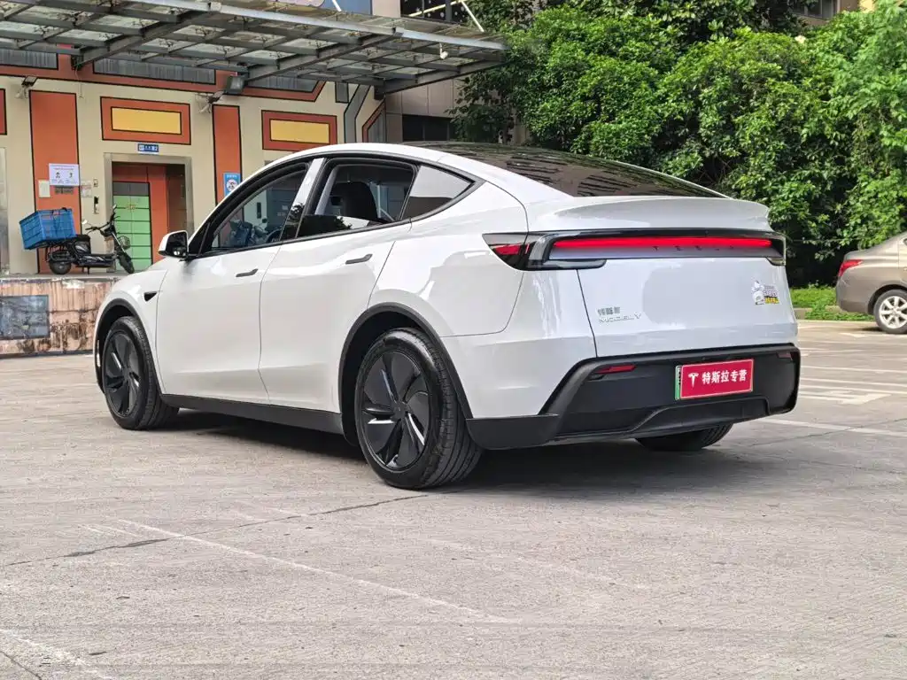 Tesla Model Y — фото 15