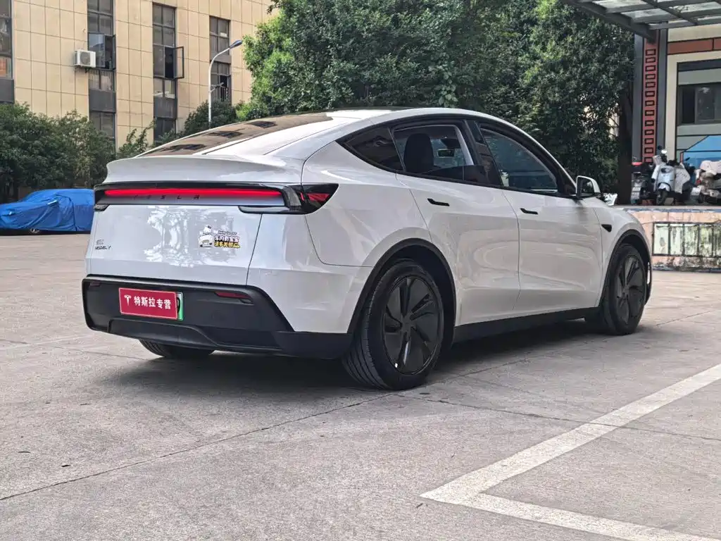 Tesla Model Y — фото 16