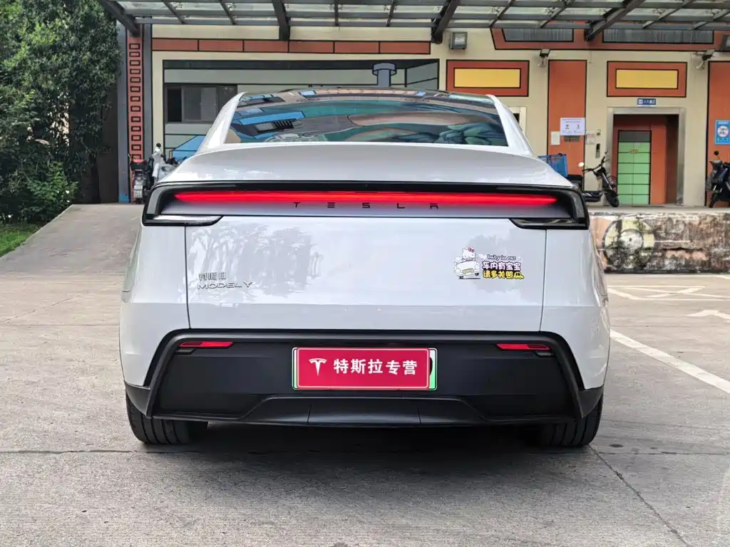 Tesla Model Y — фото 18