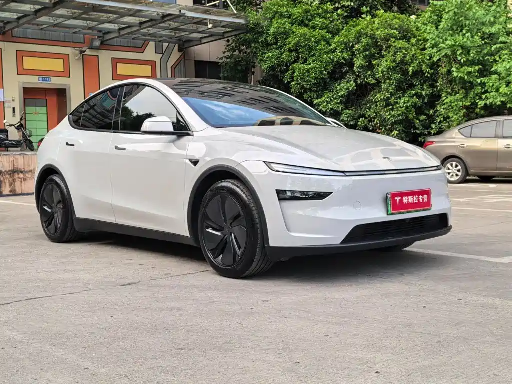 Tesla Model Y — фото 3