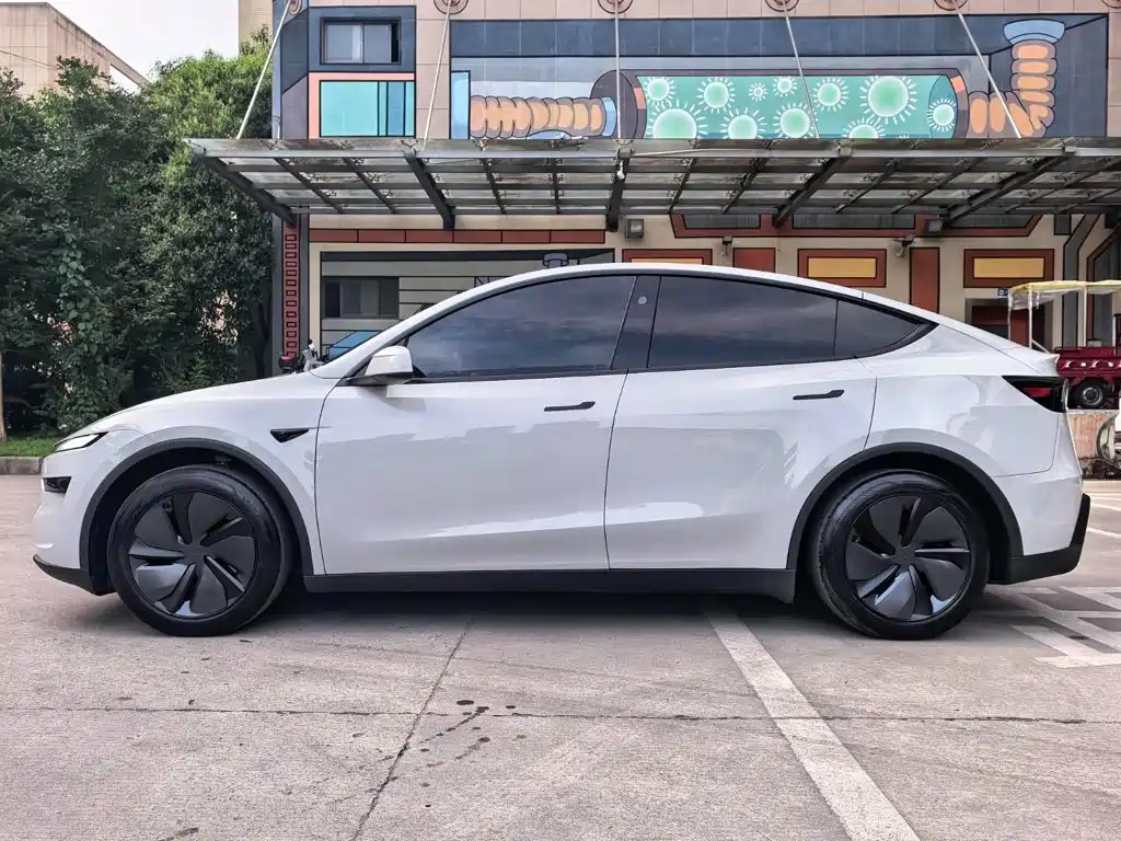 Tesla Model Y — фото 21