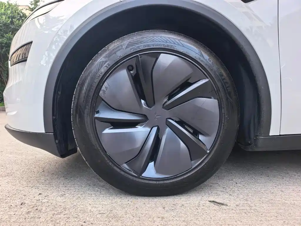 Tesla Model Y — фото 22
