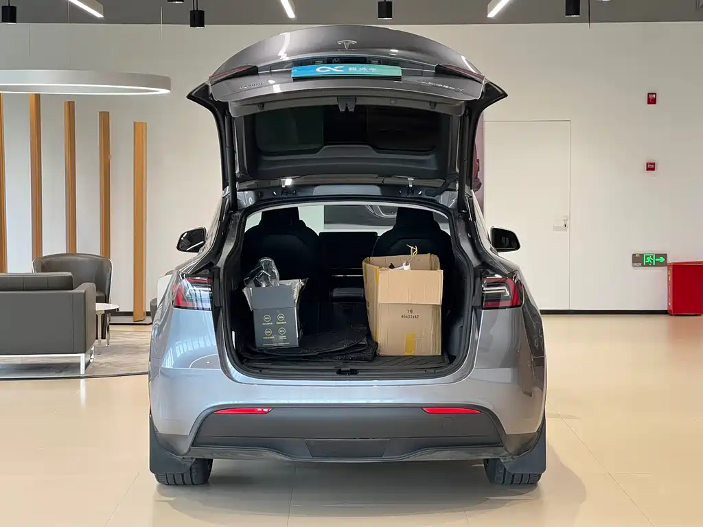 Tesla Model Y — фото 16