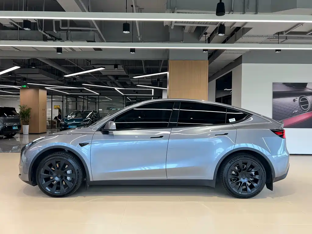 Tesla Model Y — фото 3