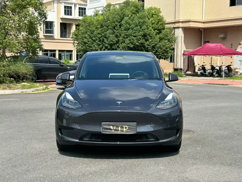 Tesla Model Y — фото 2
