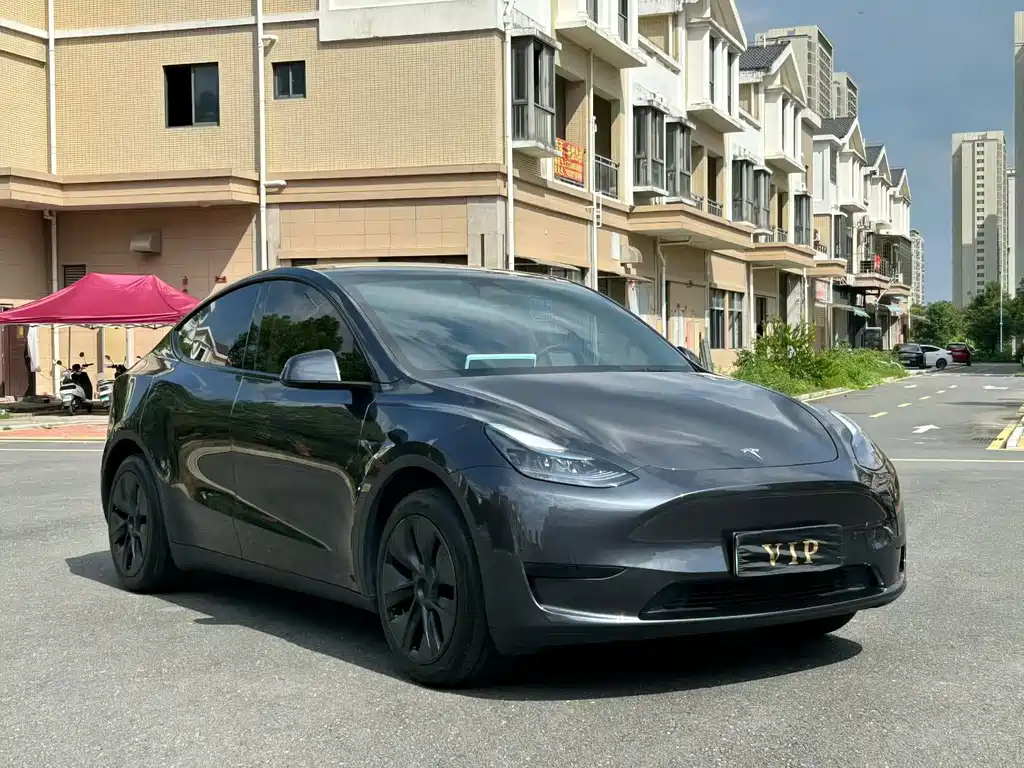 Tesla Model Y — фото 3
