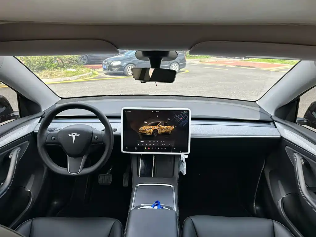 Tesla Model Y — фото 9
