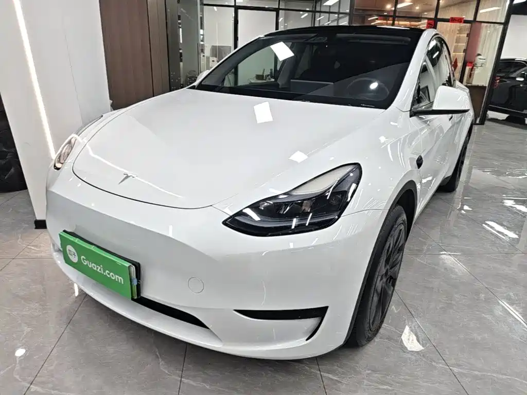 Tesla Model Y — фото 2