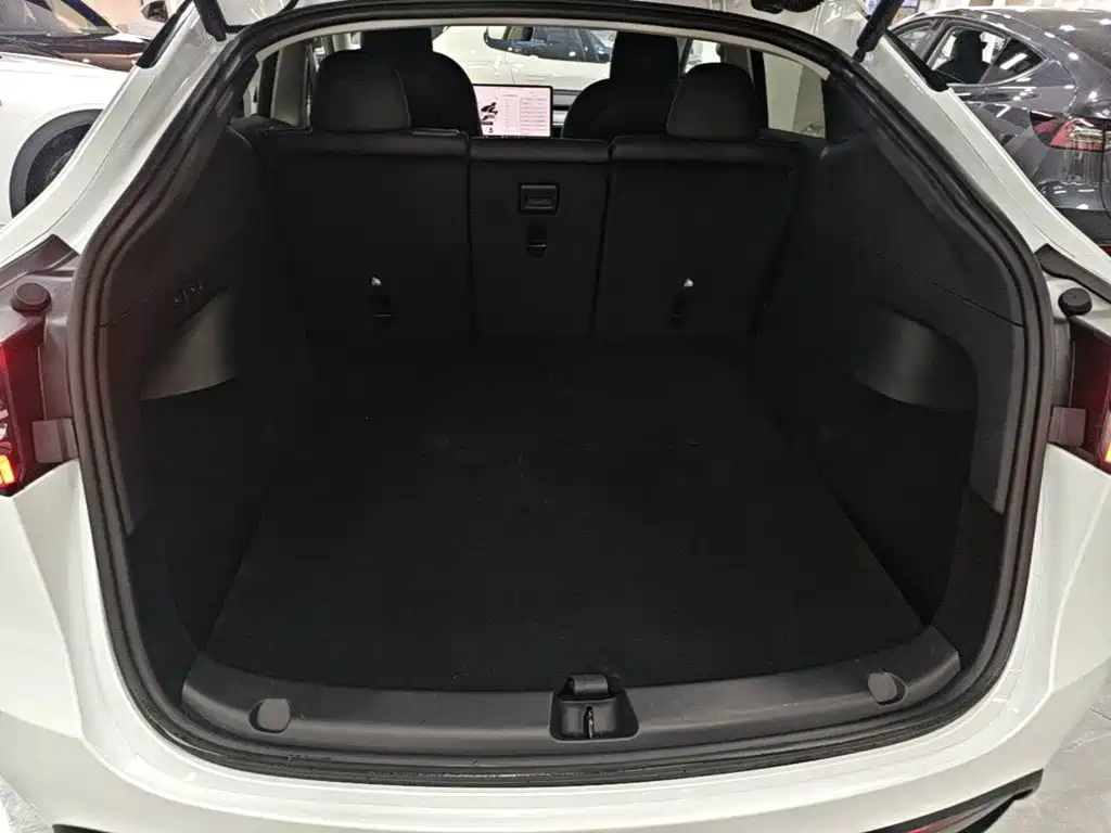 Tesla Model Y — фото 19