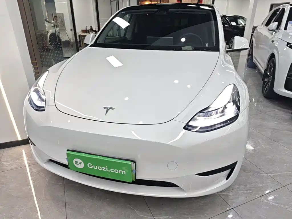 Tesla Model Y — фото 3