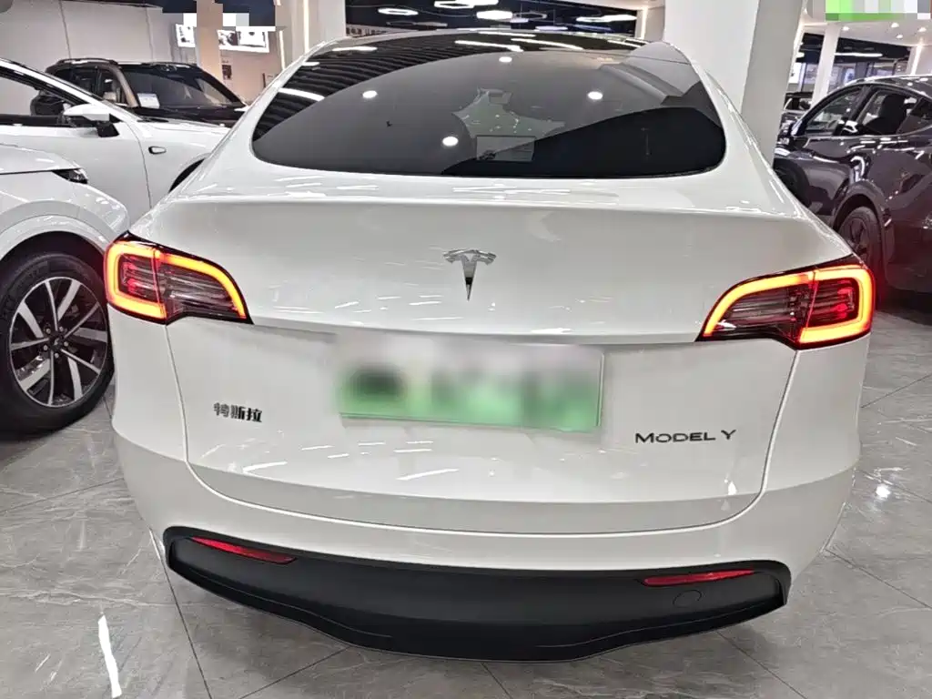 Tesla Model Y — фото 6