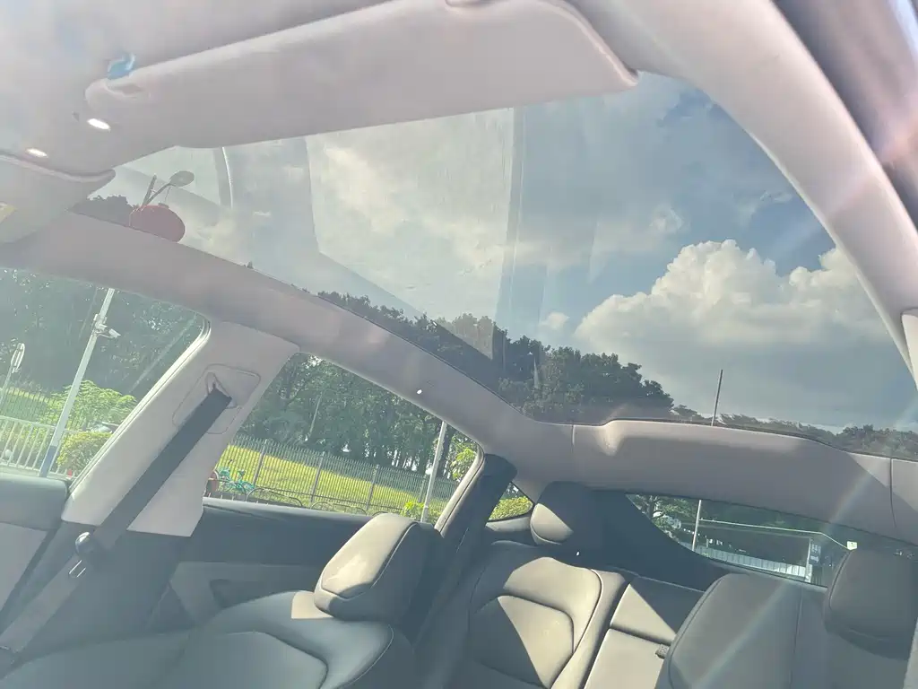 Tesla Model Y — фото 14
