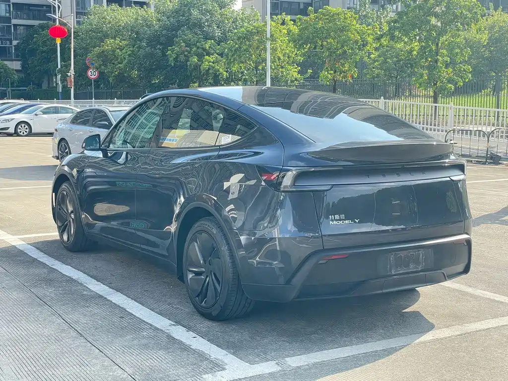 Tesla Model Y — фото 23