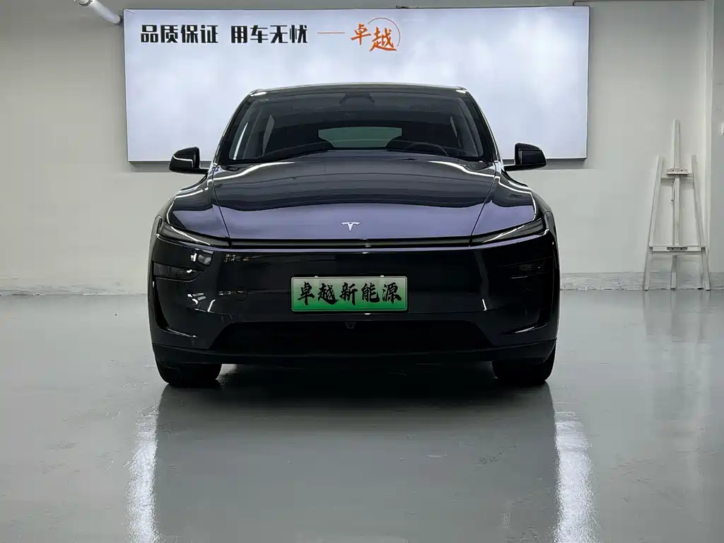 Tesla Model Y — фото 2
