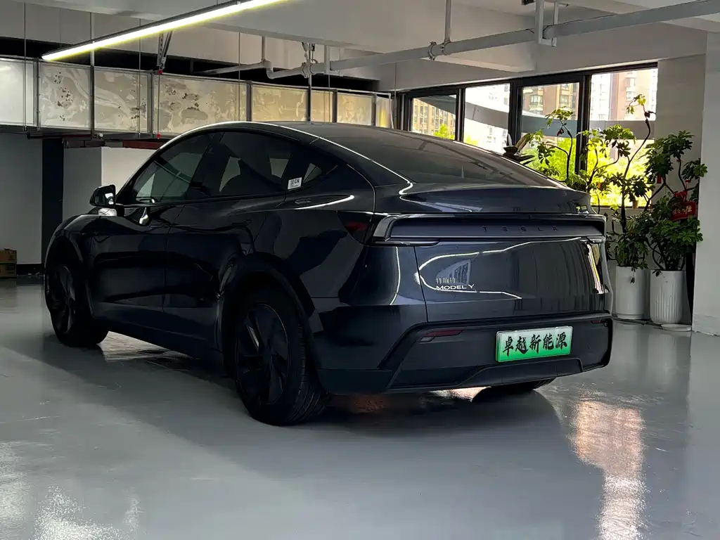 Tesla Model Y — фото 10