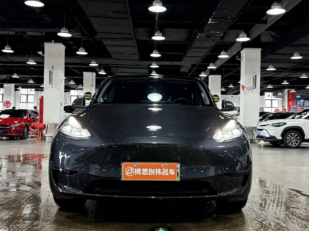 Tesla Model Y — фото 2