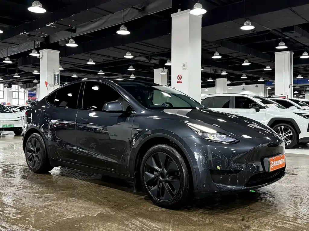 Tesla Model Y — фото 3