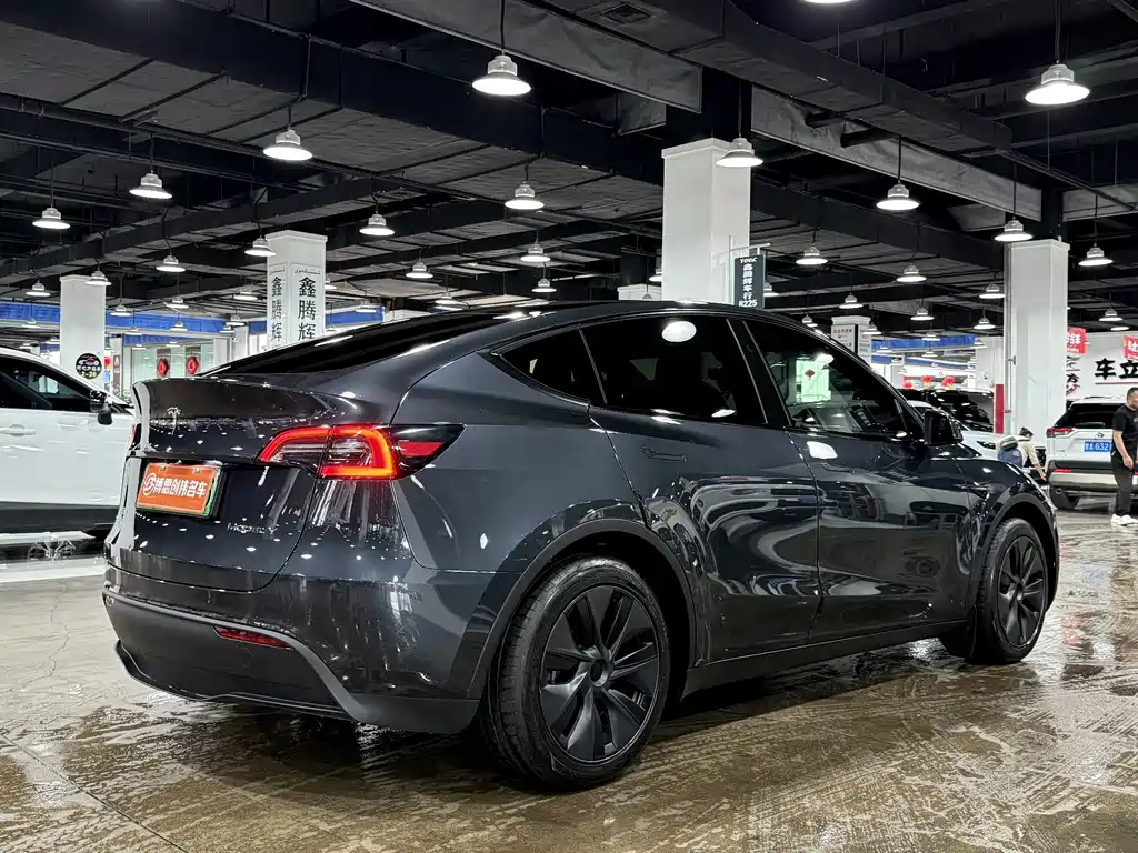 Tesla Model Y — фото 9