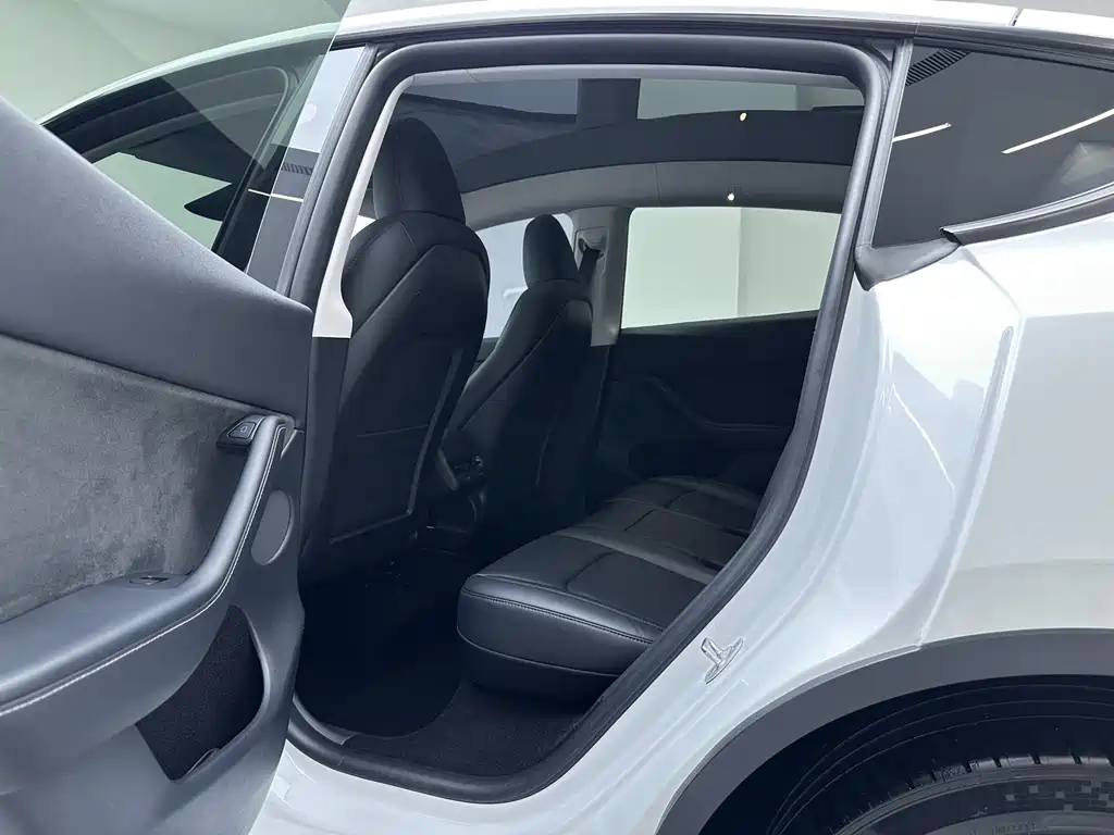 Tesla Model Y — фото 16