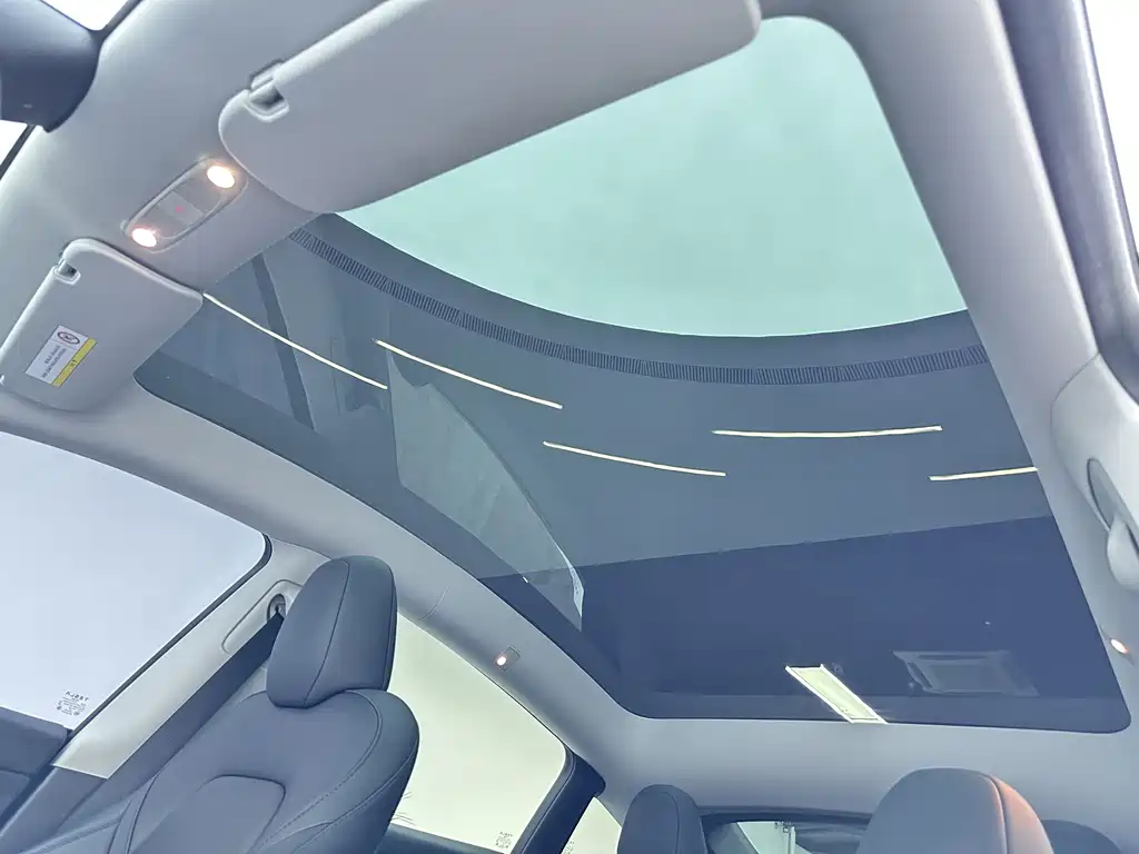 Tesla Model Y — фото 18