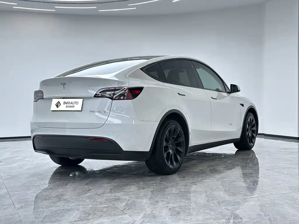 Tesla Model Y — фото 3