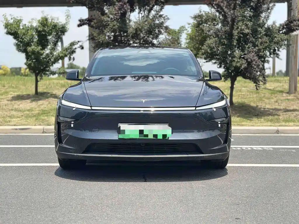 Tesla Model Y — фото 2