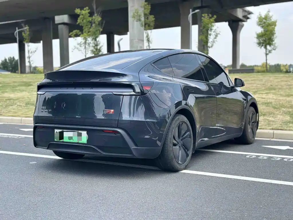 Tesla Model Y — фото 10