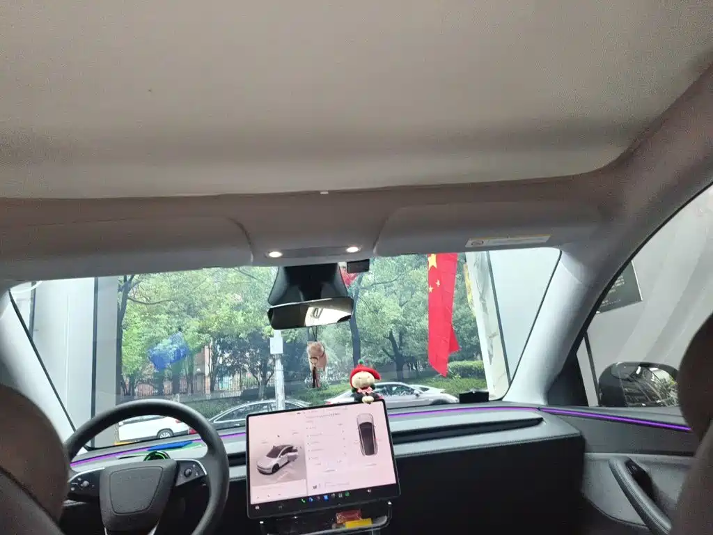 Tesla Model Y — фото 14