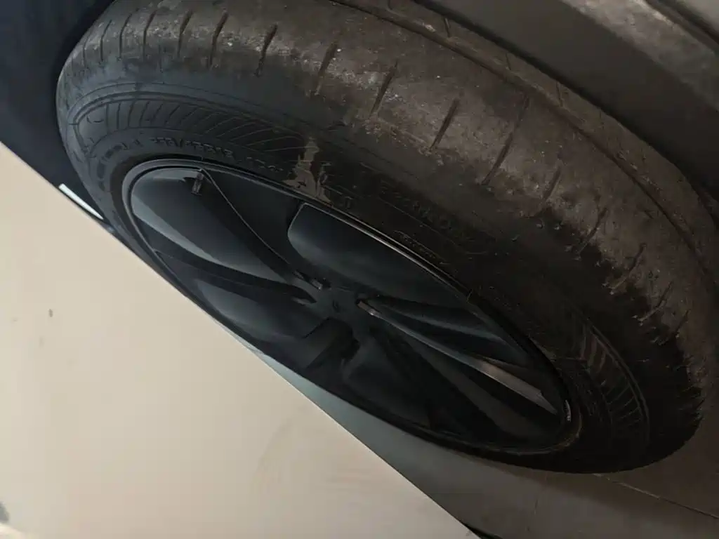 Tesla Model Y — фото 23
