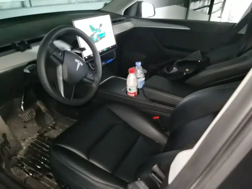 Tesla Model Y — фото 20