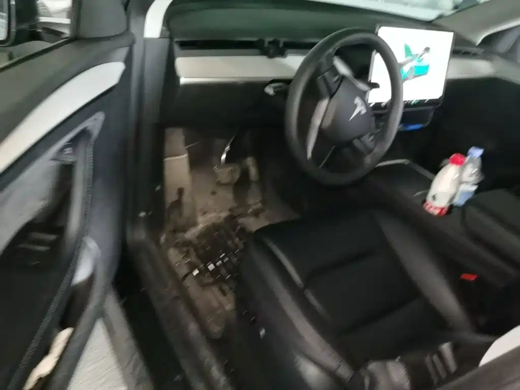 Tesla Model Y — фото 21
