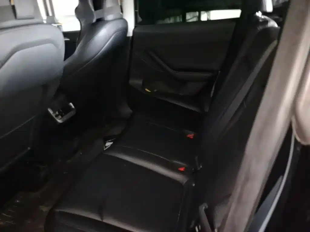 Tesla Model Y — фото 22