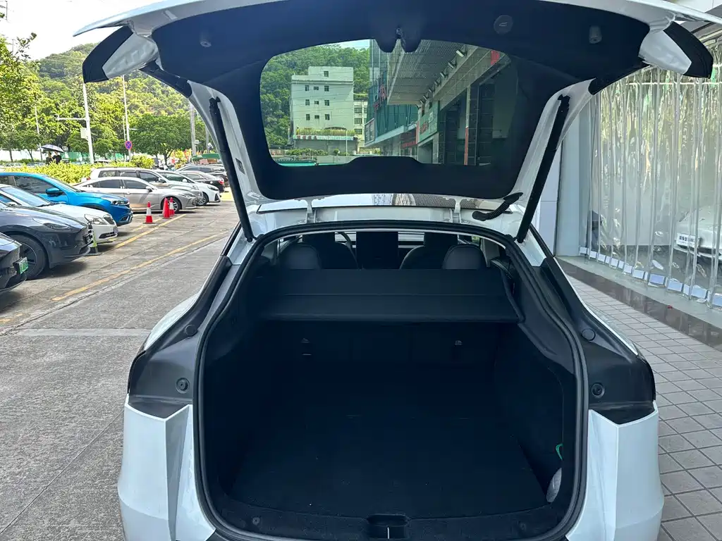 Tesla Model Y — фото 19