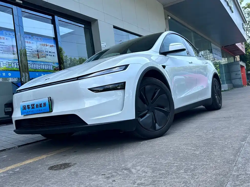 Tesla Model Y — фото 6