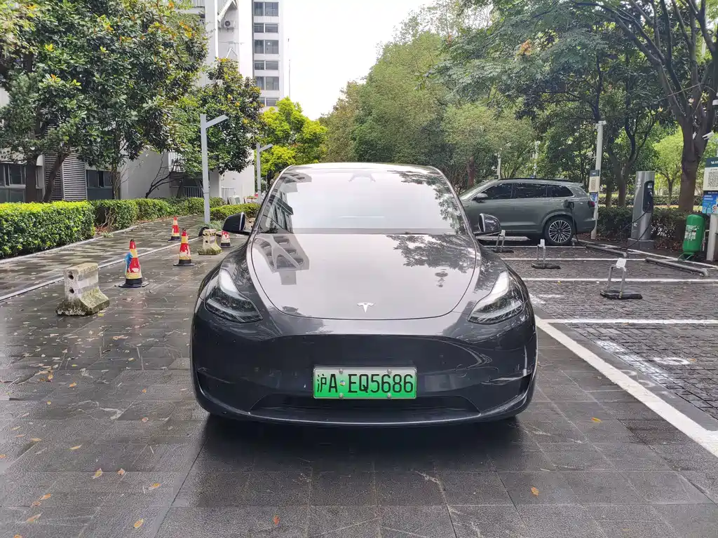 Tesla Model Y — фото 2