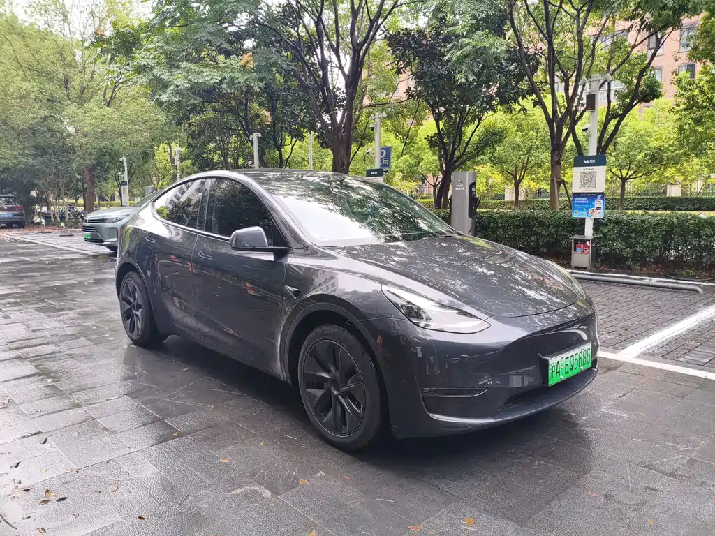 Tesla Model Y — фото 3