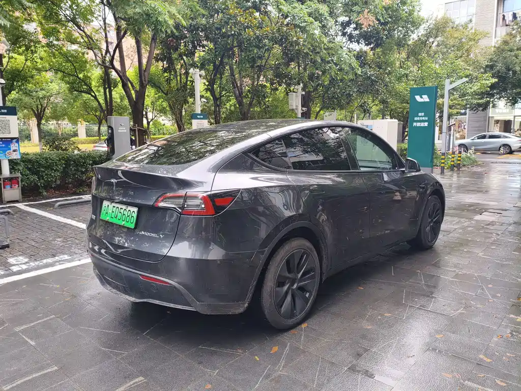 Tesla Model Y — фото 8