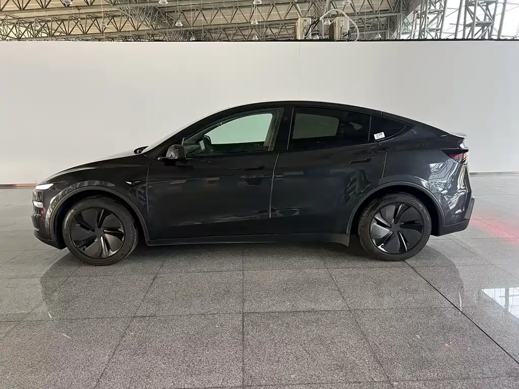 Tesla Model Y — фото 28