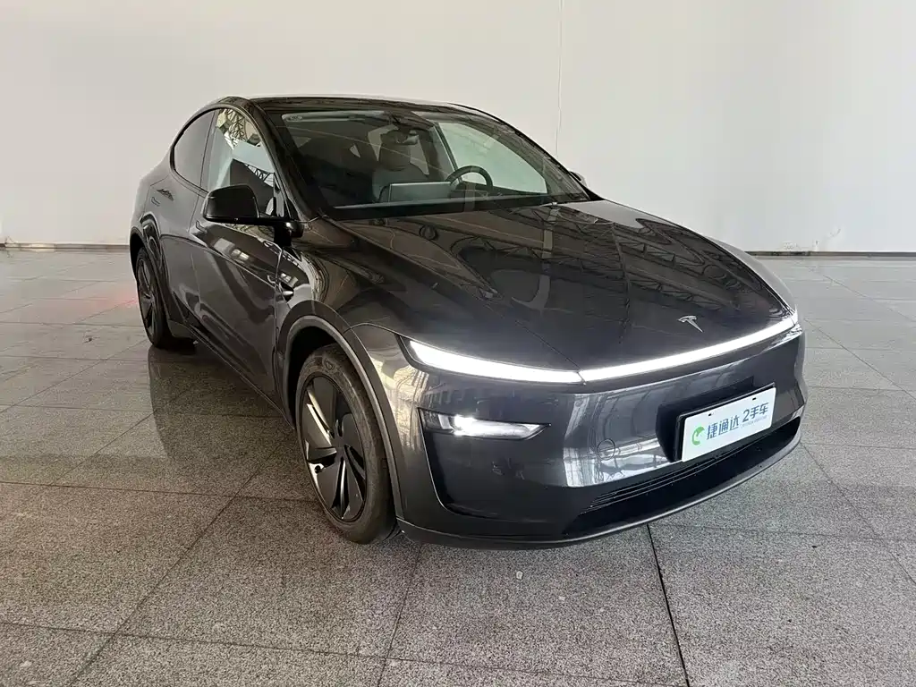 Tesla Model Y — фото 9